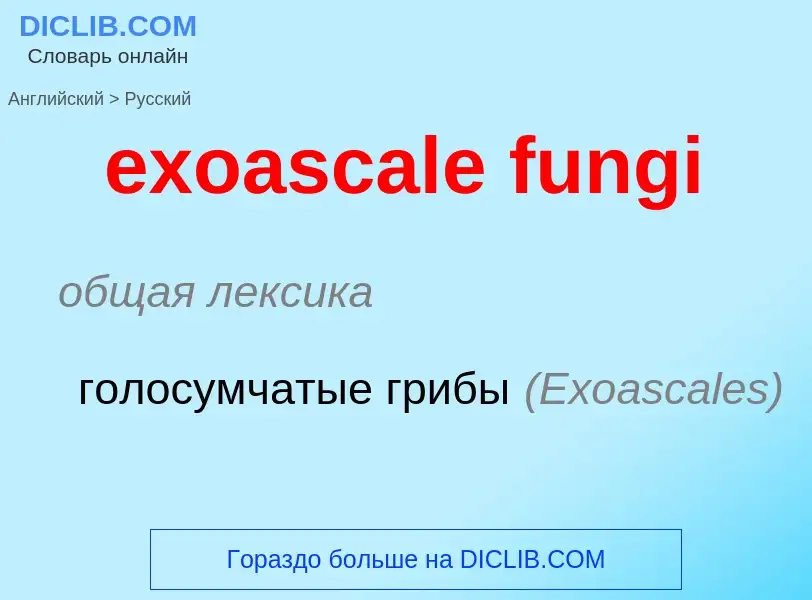 Traduction de &#39exoascale fungi&#39 en Russe