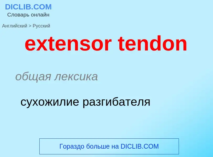 Как переводится extensor tendon на Русский язык