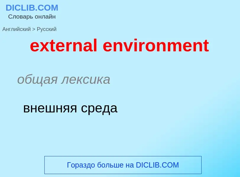 Как переводится external environment на Русский язык