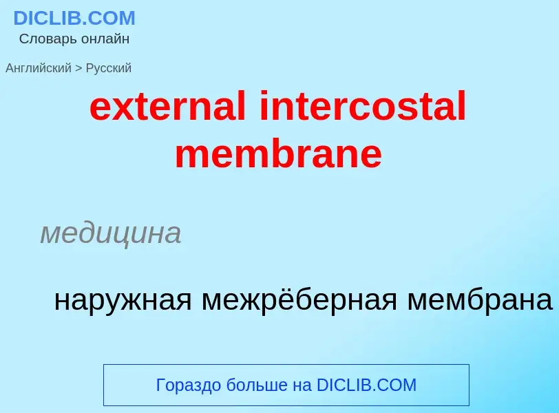 Μετάφραση του &#39external intercostal membrane&#39 σε Ρωσικά