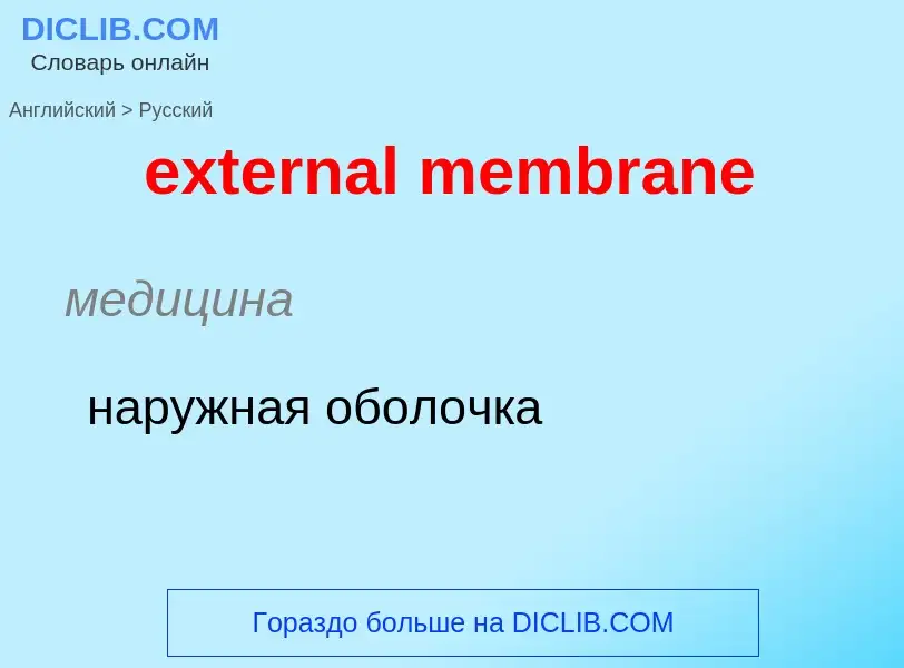 Μετάφραση του &#39external membrane&#39 σε Ρωσικά