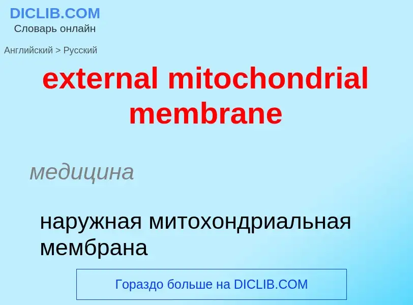 Μετάφραση του &#39external mitochondrial membrane&#39 σε Ρωσικά