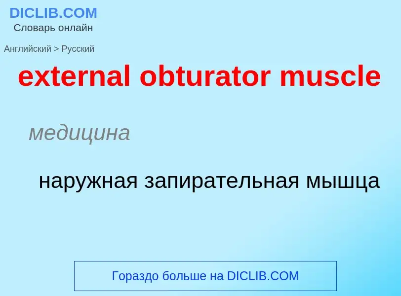 Μετάφραση του &#39external obturator muscle&#39 σε Ρωσικά