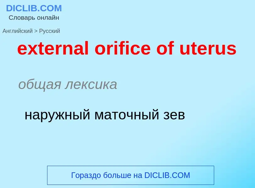 Μετάφραση του &#39external orifice of uterus&#39 σε Ρωσικά