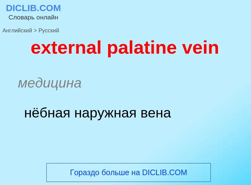 Μετάφραση του &#39external palatine vein&#39 σε Ρωσικά