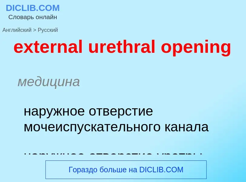 Μετάφραση του &#39external urethral opening&#39 σε Ρωσικά