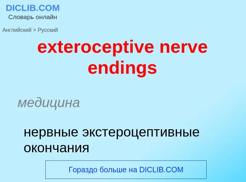 Μετάφραση του &#39exteroceptive nerve endings&#39 σε Ρωσικά