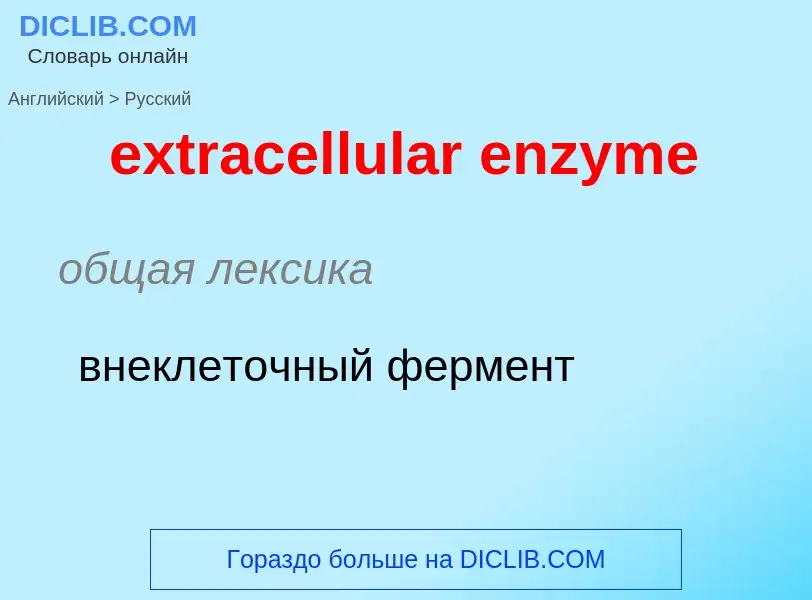 Μετάφραση του &#39extracellular enzyme&#39 σε Ρωσικά