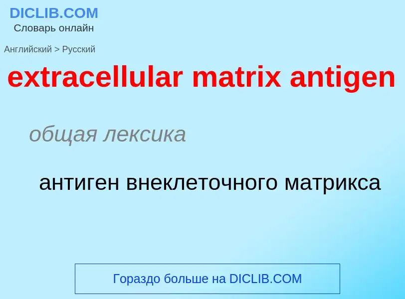 Μετάφραση του &#39extracellular matrix antigen&#39 σε Ρωσικά