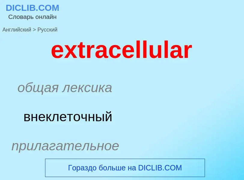 Μετάφραση του &#39extracellular&#39 σε Ρωσικά