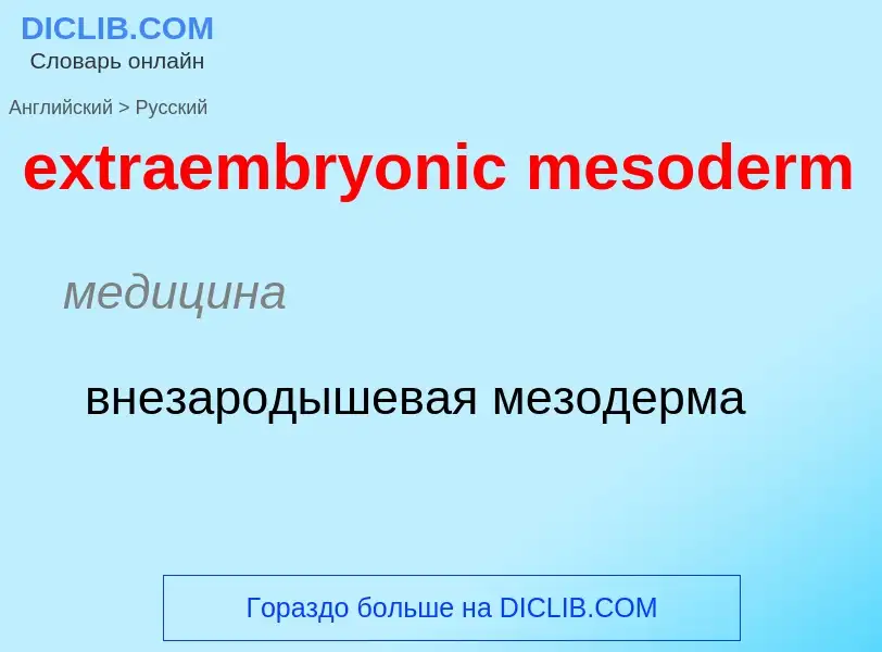 Μετάφραση του &#39extraembryonic mesoderm&#39 σε Ρωσικά