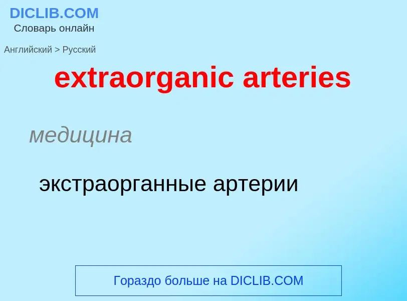 Μετάφραση του &#39extraorganic arteries&#39 σε Ρωσικά