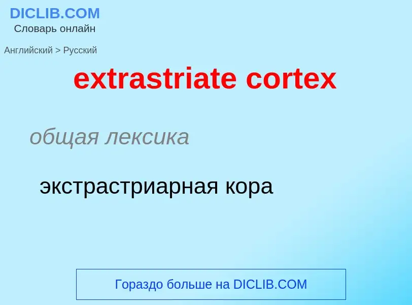 Μετάφραση του &#39extrastriate cortex&#39 σε Ρωσικά