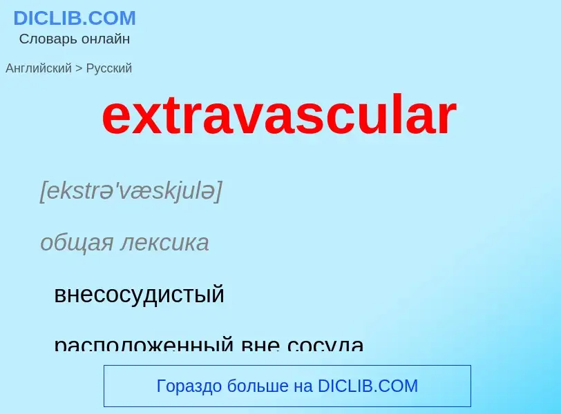 Как переводится extravascular на Русский язык