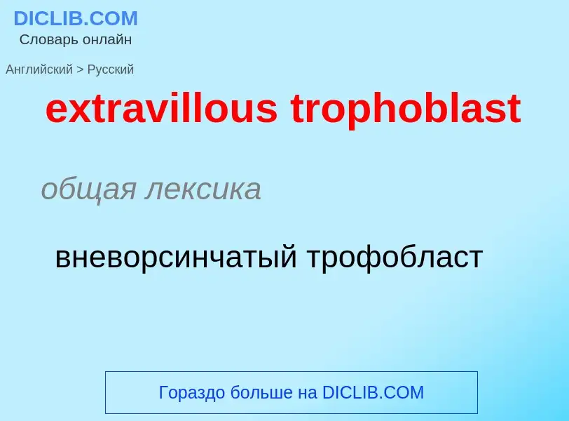 Как переводится extravillous trophoblast на Русский язык