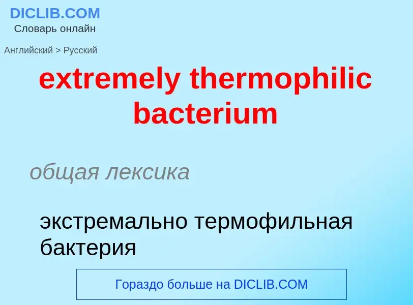 Как переводится extremely thermophilic bacterium на Русский язык