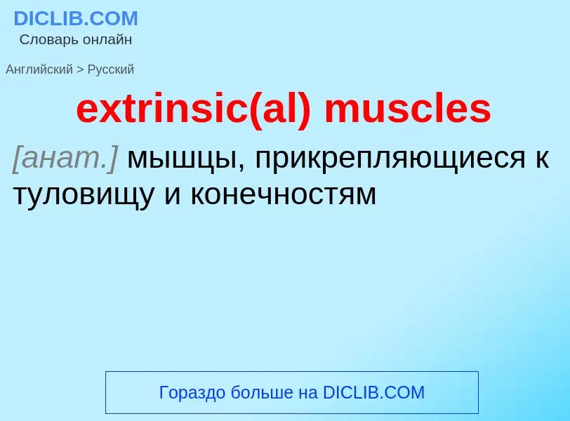 Μετάφραση του &#39extrinsic(al) muscles&#39 σε Ρωσικά