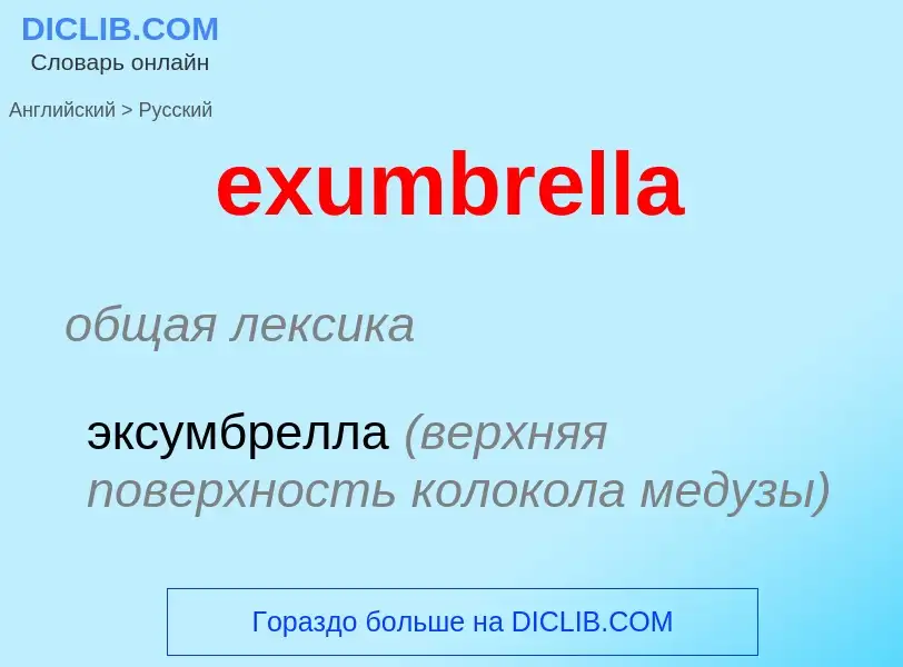 Как переводится exumbrella на Русский язык