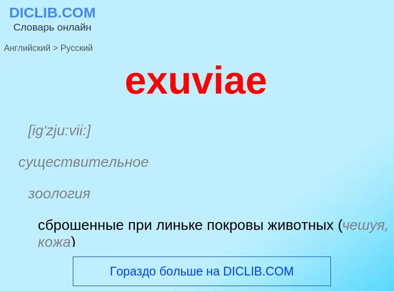 Как переводится exuviae на Русский язык