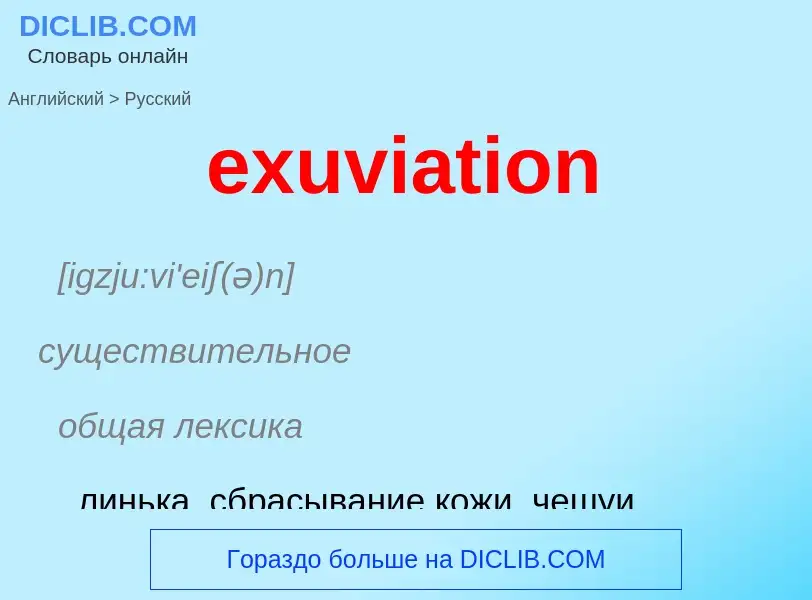 Как переводится exuviation на Русский язык