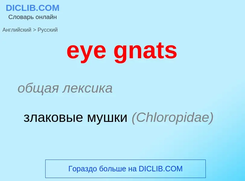 ¿Cómo se dice eye gnats en Ruso? Traducción de &#39eye gnats&#39 al Ruso