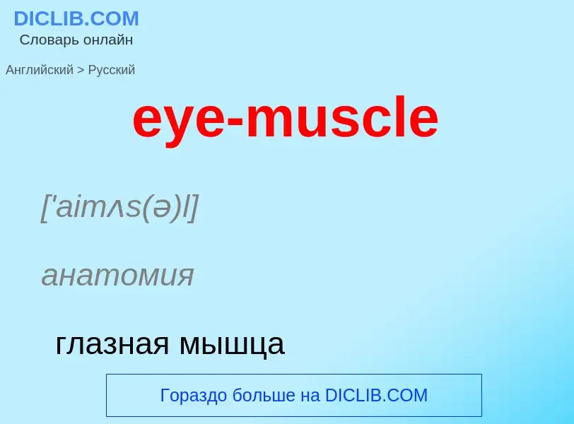 Как переводится eye-muscle на Русский язык