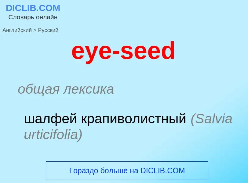 Как переводится eye-seed на Русский язык