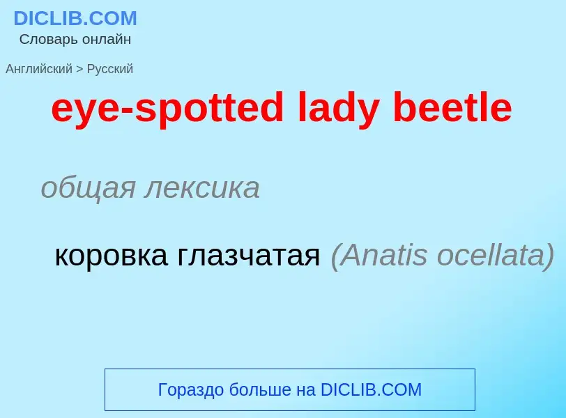 Как переводится eye-spotted lady beetle на Русский язык