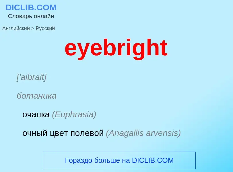 Как переводится eyebright на Русский язык