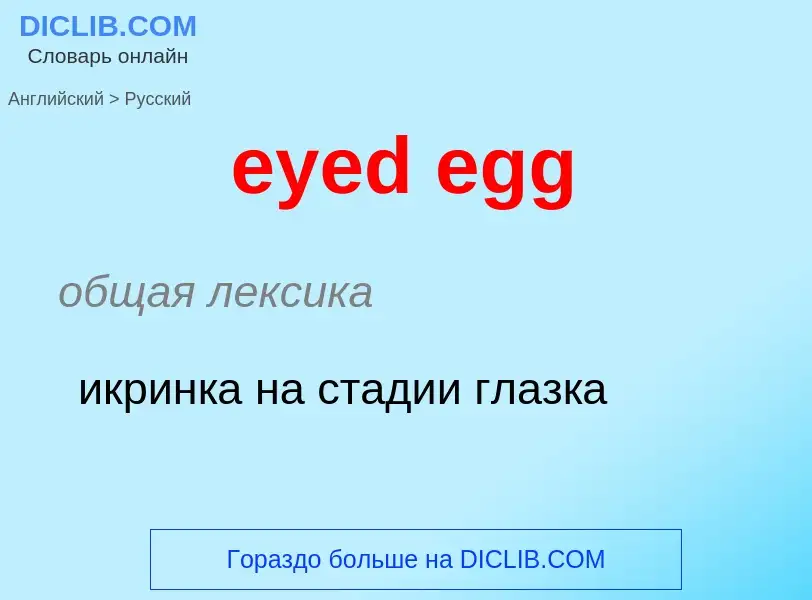 Как переводится eyed egg на Русский язык