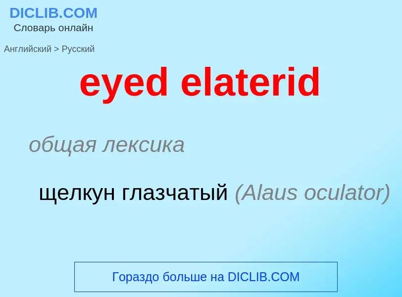 Как переводится eyed elaterid на Русский язык