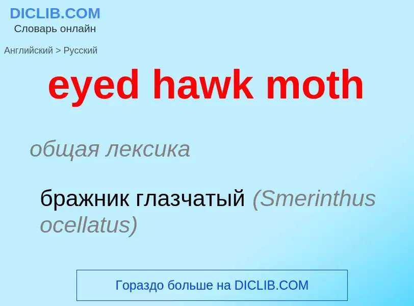 Как переводится eyed hawk moth на Русский язык