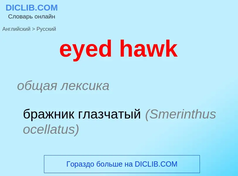 Μετάφραση του &#39eyed hawk&#39 σε Ρωσικά