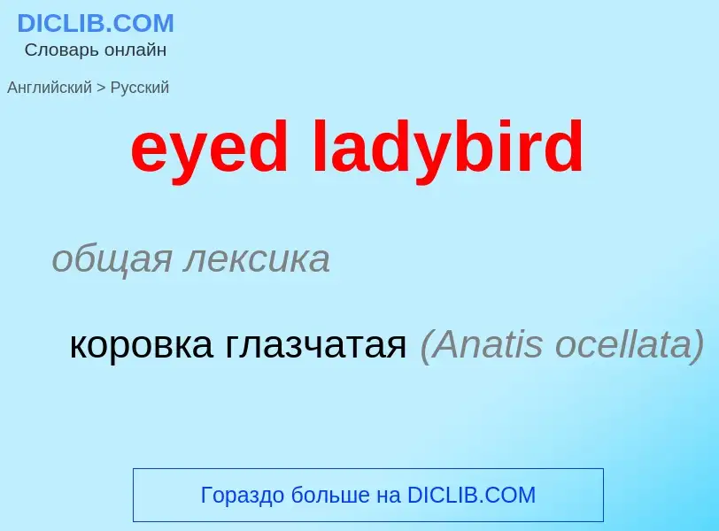 Как переводится eyed ladybird на Русский язык