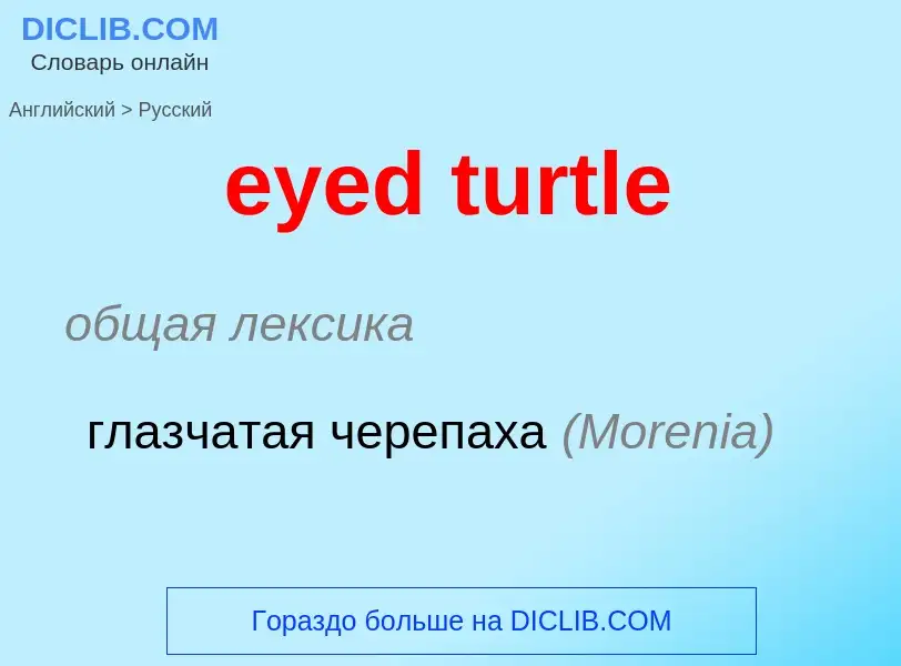 Как переводится eyed turtle на Русский язык