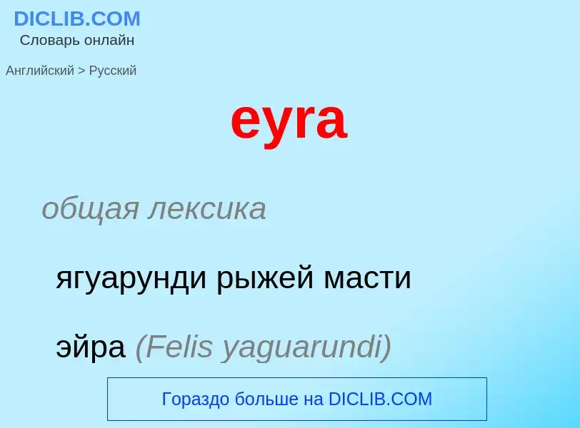 Как переводится eyra на Русский язык