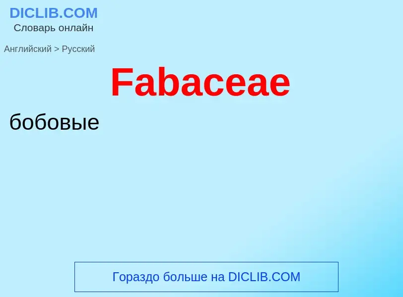 Как переводится Fabaceae на Русский язык