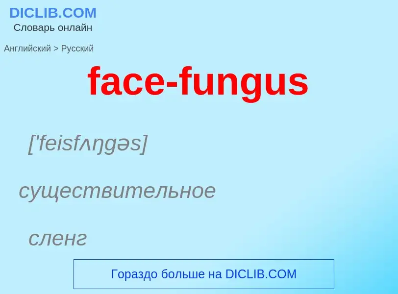 Как переводится face-fungus на Русский язык