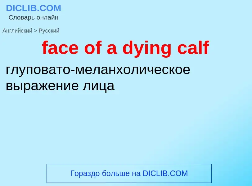 Как переводится face of a dying calf на Русский язык