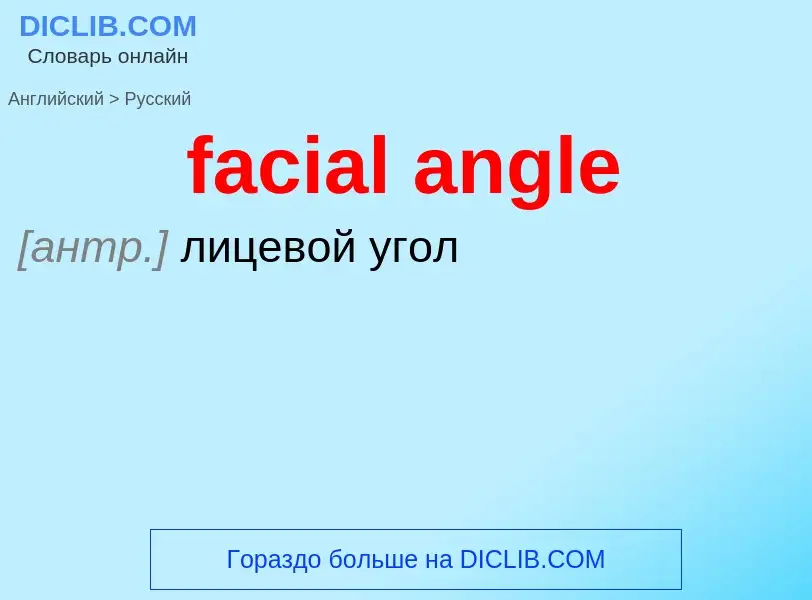 Как переводится facial angle на Русский язык