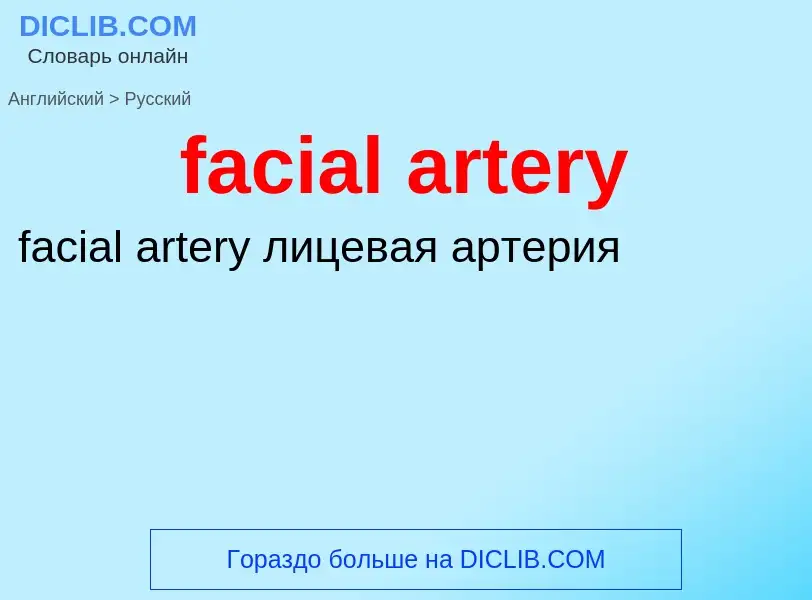 Как переводится facial artery на Русский язык