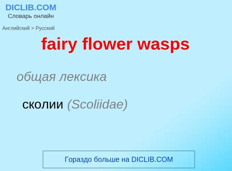 Μετάφραση του &#39fairy flower wasps&#39 σε Ρωσικά