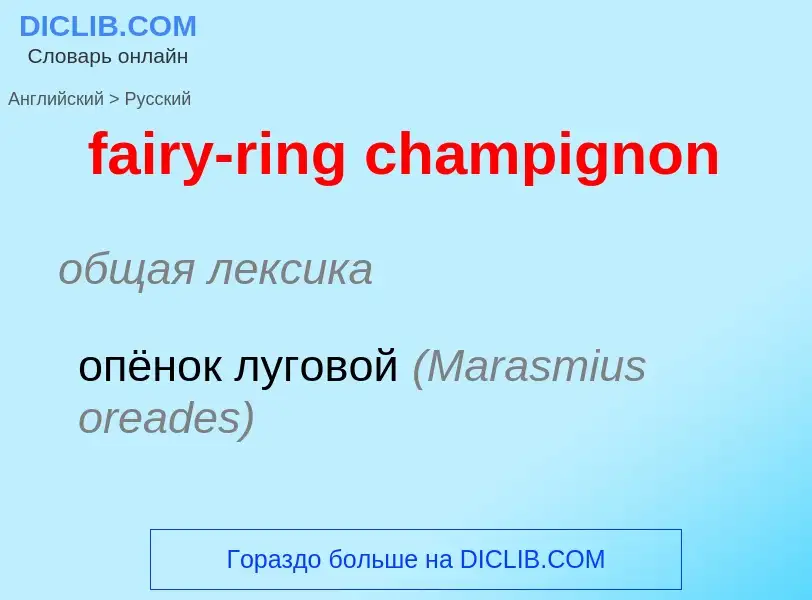 Как переводится fairy-ring champignon на Русский язык