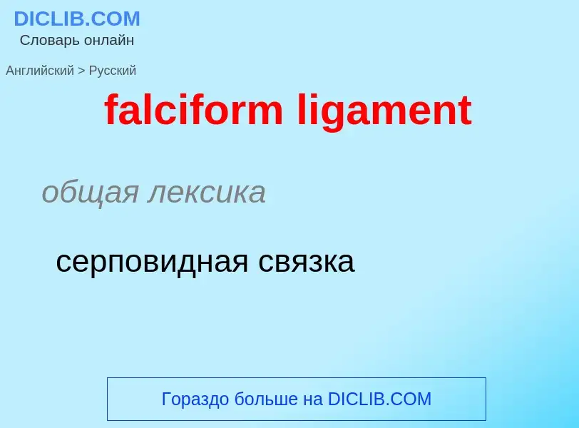 Μετάφραση του &#39falciform ligament&#39 σε Ρωσικά