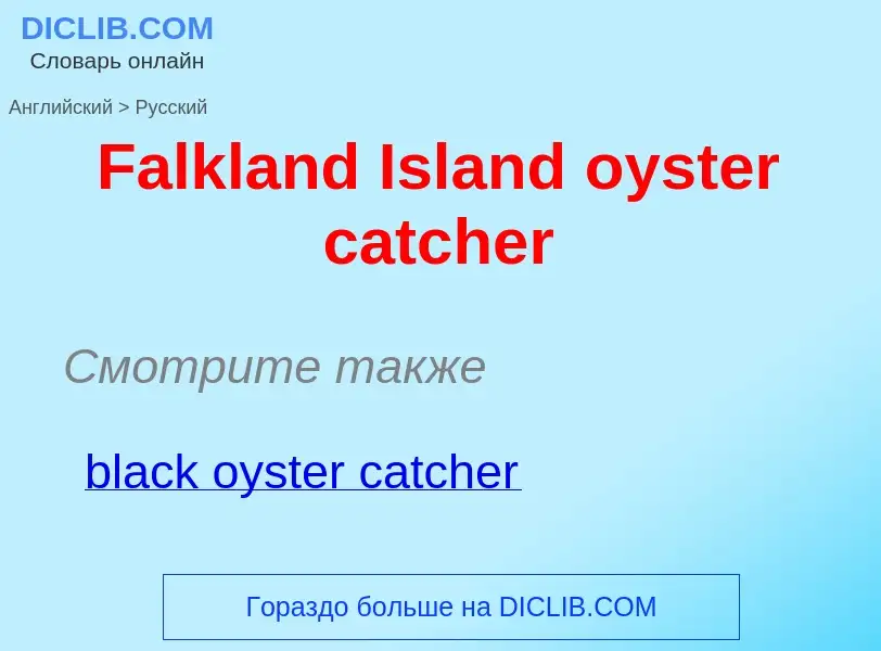 Как переводится Falkland Island oyster catcher на Русский язык