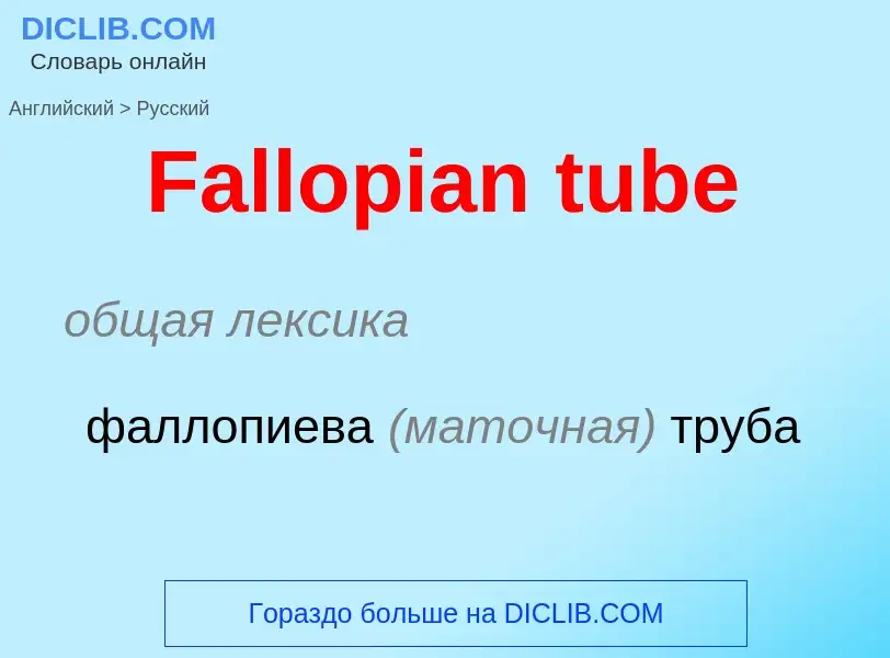 Como se diz Fallopian tube em Russo? Tradução de &#39Fallopian tube&#39 em Russo