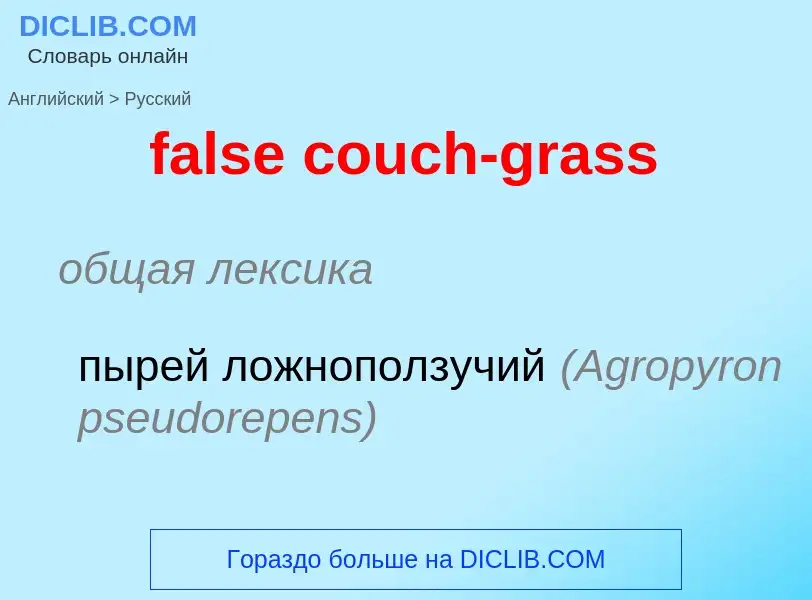 Übersetzung von &#39false couch-grass&#39 in Russisch