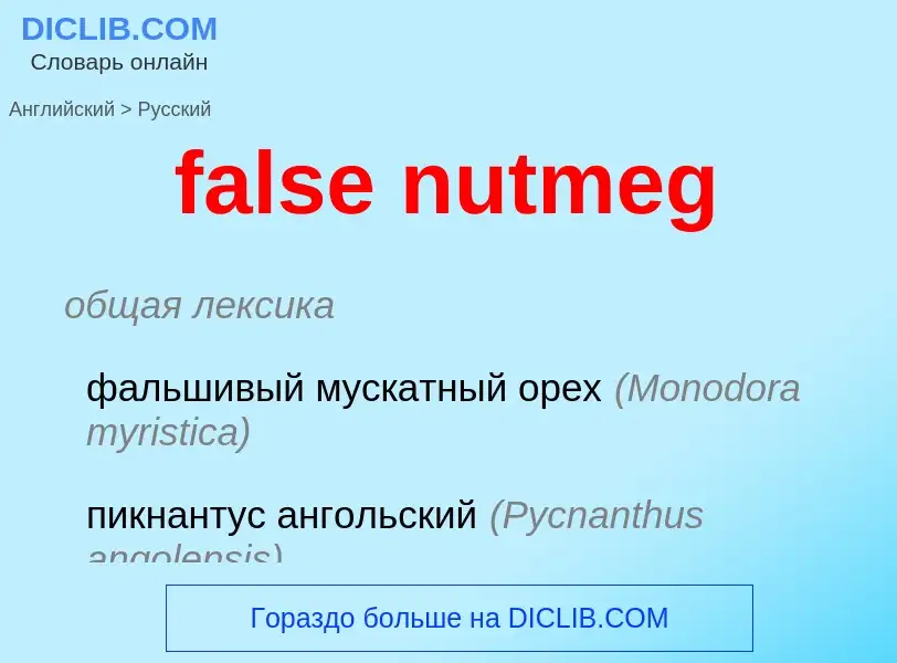 What is the Russian for false nutmeg? Translation of &#39false nutmeg&#39 to Russian