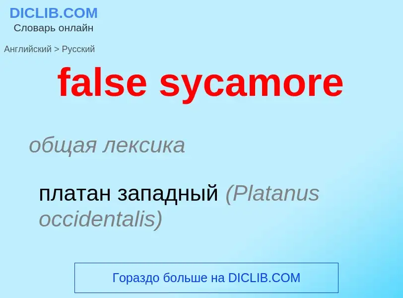 Como se diz false sycamore em Russo? Tradução de &#39false sycamore&#39 em Russo