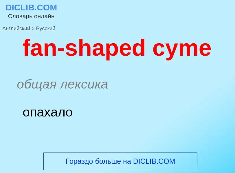 Как переводится fan-shaped cyme на Русский язык